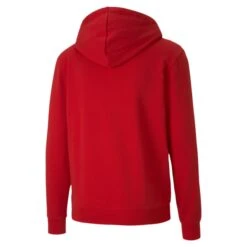 Kapuzenpullover Puma TeamGOAL 23 Casuals Hooded 8 Kapuzenpullover Puma TeamGOAL 23 Casuals Hooded -MACRON Verkaufsgeschäft 656708 01 2 puma pum 656708 01 backview
