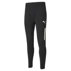 Hosen Puma Team Liga Training Pro