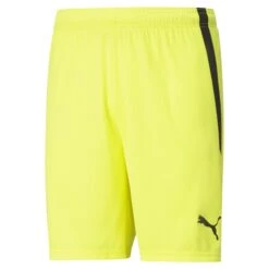Short Puma TeamLIGA