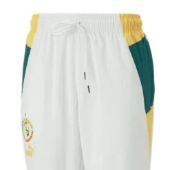 Jogging Gewebt Puma FSF 5 Jogging Gewebt Puma FSF -MACRON Verkaufsgeschäft 773106 05 2