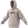 Kapuzenpullover Molton Adidas All Szn Graphic -MACRON Verkaufsgeschäft adidas ic9776 1 apparel 3d rendering standard view white