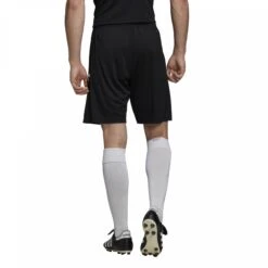 Kurz Adidas Team 19 9 Kurz Adidas Team 19 -MACRON Verkaufsgeschäft dw6864 on model back 2000x2000