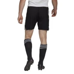 Short Adidas Condivo 22 Match Day -MACRON Verkaufsgeschäft ha3506 app on model back white 1645109678