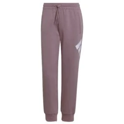 Jogginganzug Für Frauen Adidas Sportswear Future Icons