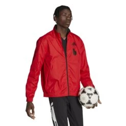 ADIDAS Jacke Anthem Weltmeisterschaft 2022 Belgique -MACRON Verkaufsgeschäft he1431 6 apparel on20model walking20view white