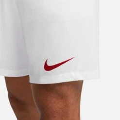Short Nike Dri-FIT Park 3 10 Short Nike Dri-FIT Park 3 -MACRON Verkaufsgeschäft nike bv6855 103 phsym003 new