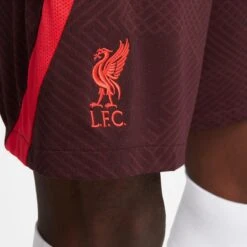Nike Trainingsshorts Liverpool FC Strike Ks 2022/23 -MACRON Verkaufsgeschäft nike dj8595 652 phsym003 new