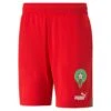 Puma Heim-Shorts Maroc 2023 -MACRON Verkaufsgeschäft puma 765817 01 0