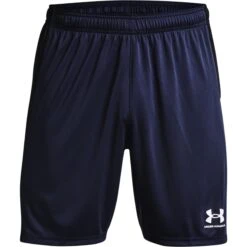 Mesh-Shorts Under Armour Challenger